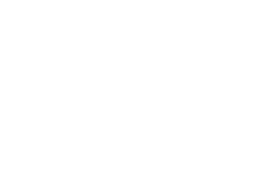 net shape